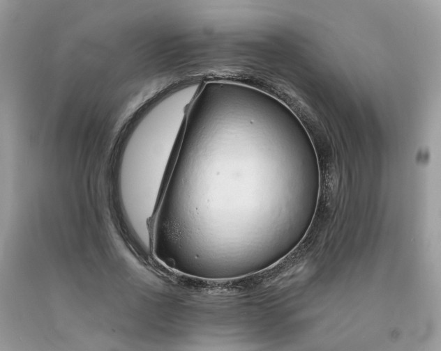 X0000091680734200709061104
