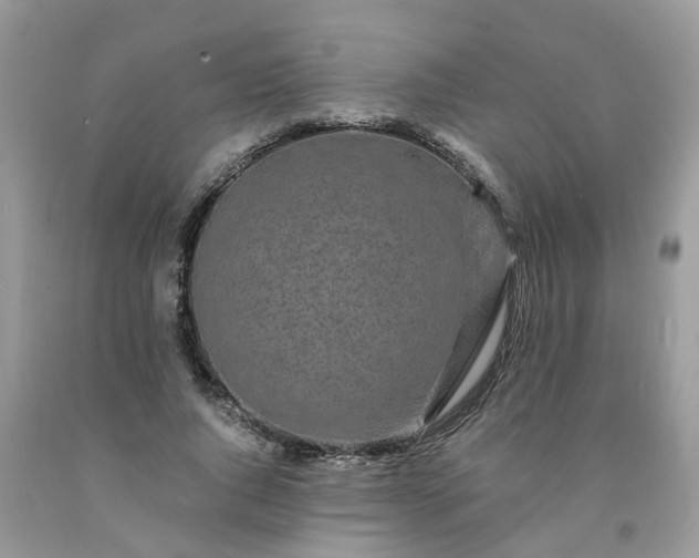 X0000091680736200709061104