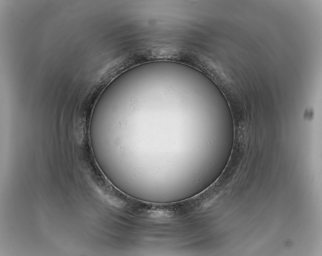 X0000091680741200709061104