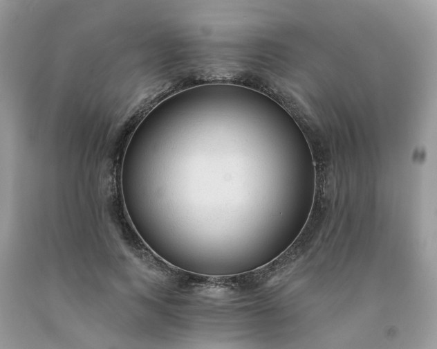 X0000091680743200709061104