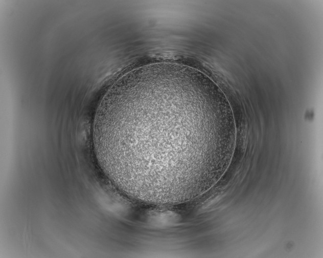 X0000091680747200709061104