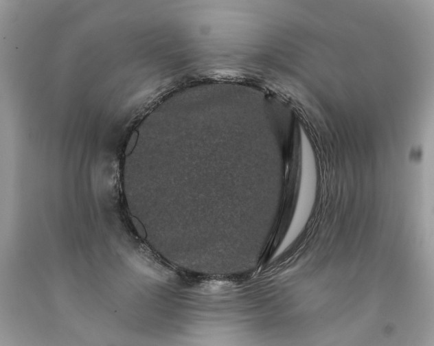 X0000091680748200709061104