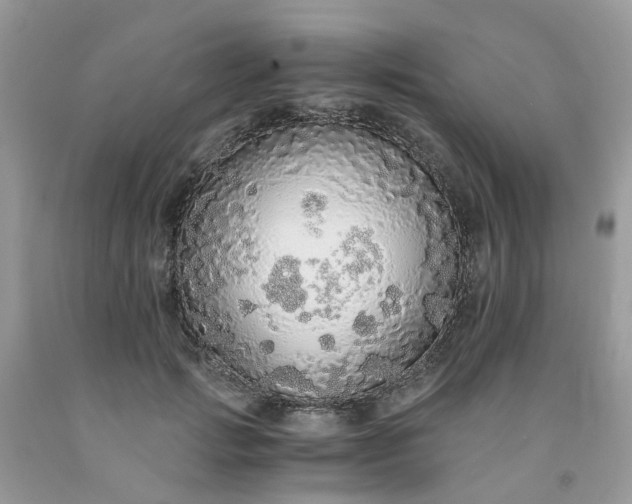 X0000091680749200709061104