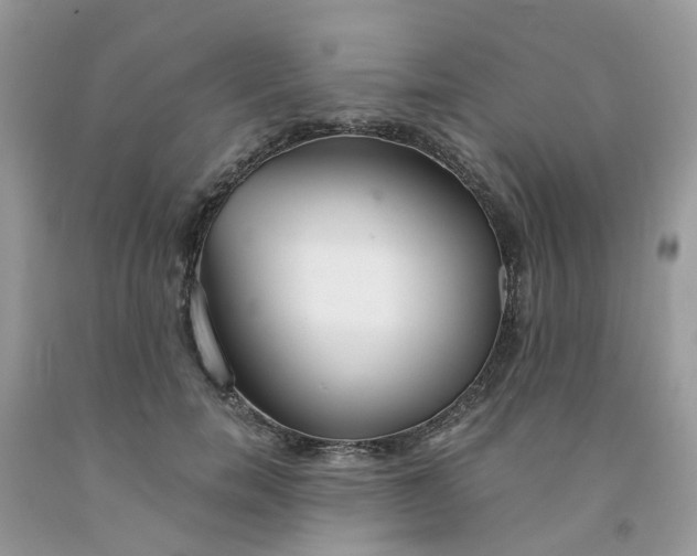 X0000091680750200709061104