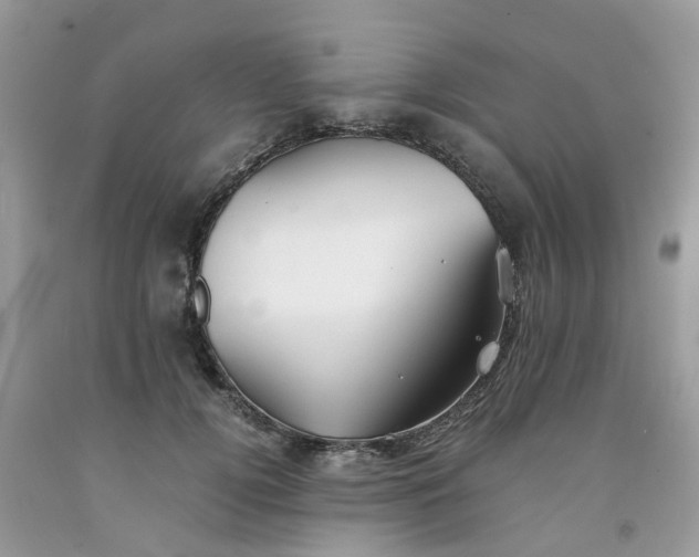 X0000091680752200709061104