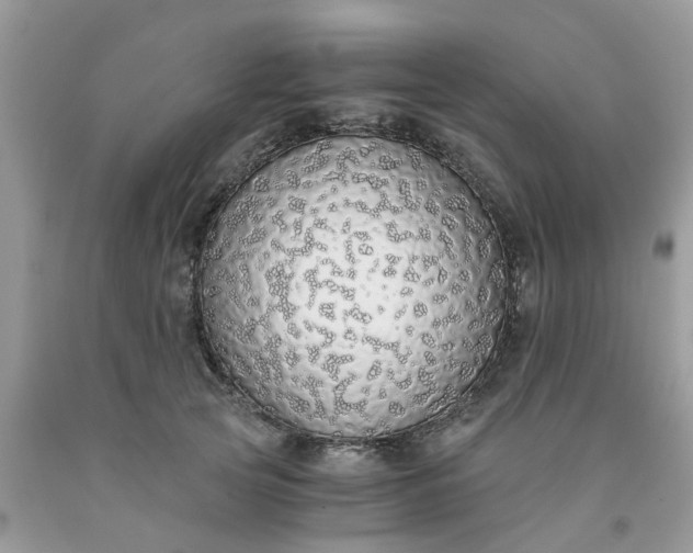 X0000091680753200709061104