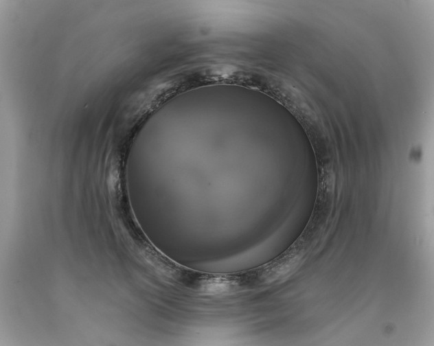 X0000091680754200709061104