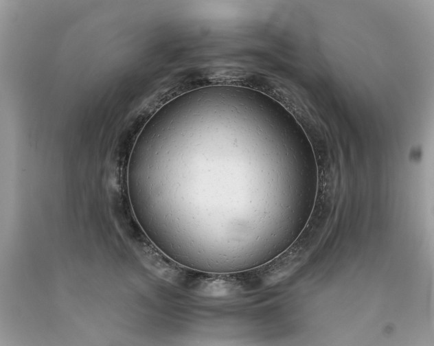 X0000091680755200709061104
