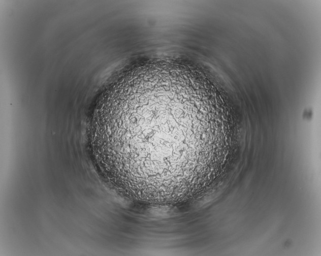 X0000091680757200709061104