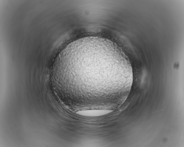 X0000091680758200709061104
