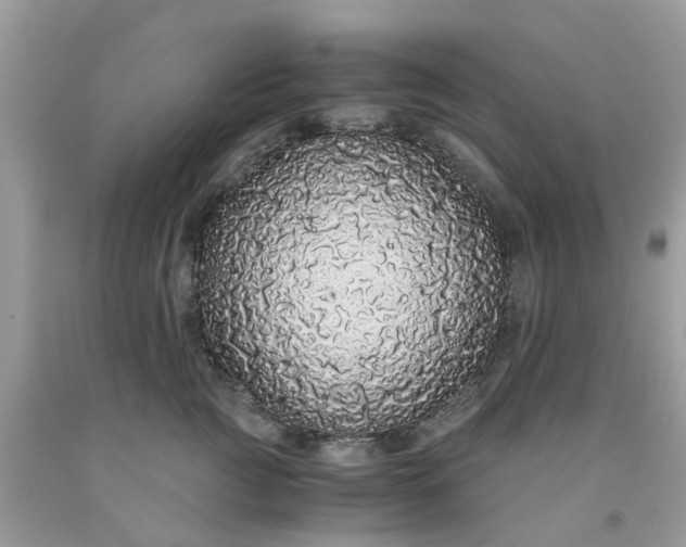 X0000091680761200709061104