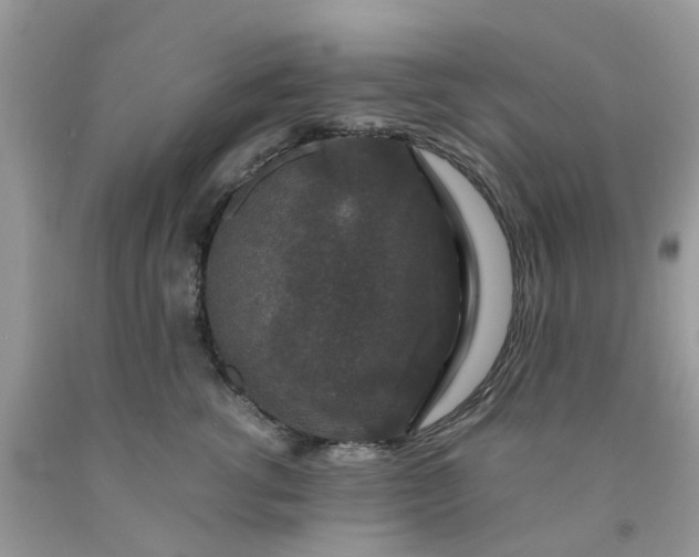 X0000091680762200709061104