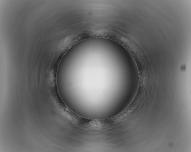 X0000091680764200709061104