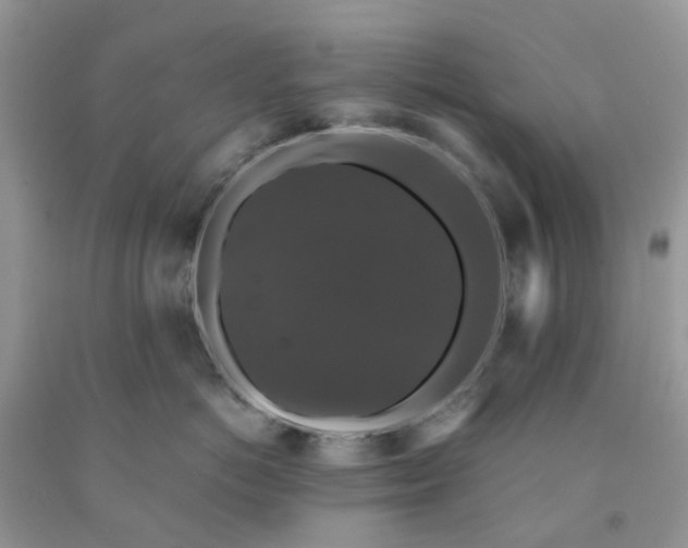 X0000091680766200709061104