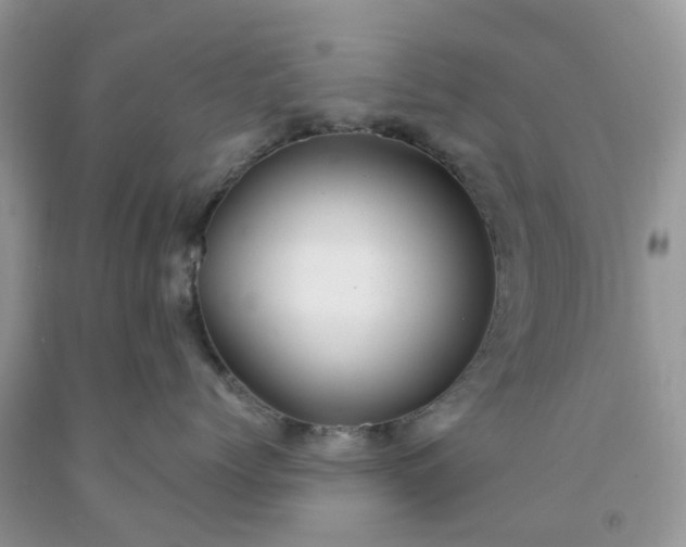X0000091680768200709061104