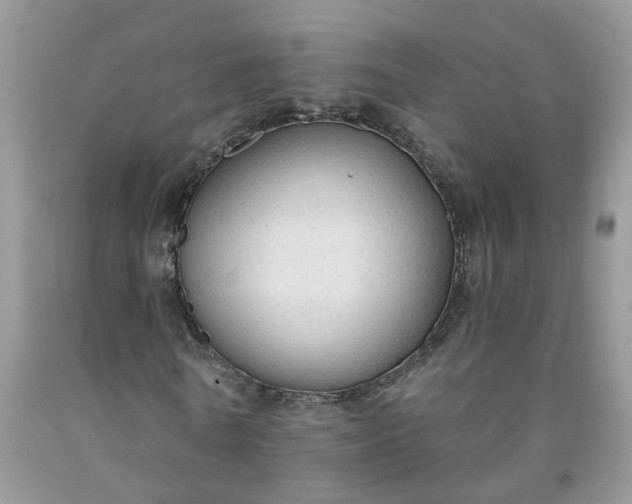 X0000091680770200709061103