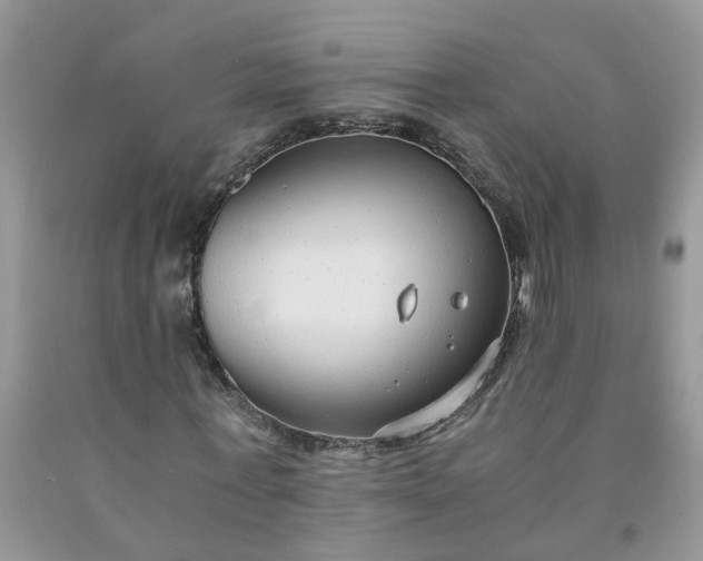 X0000091680771200709061103