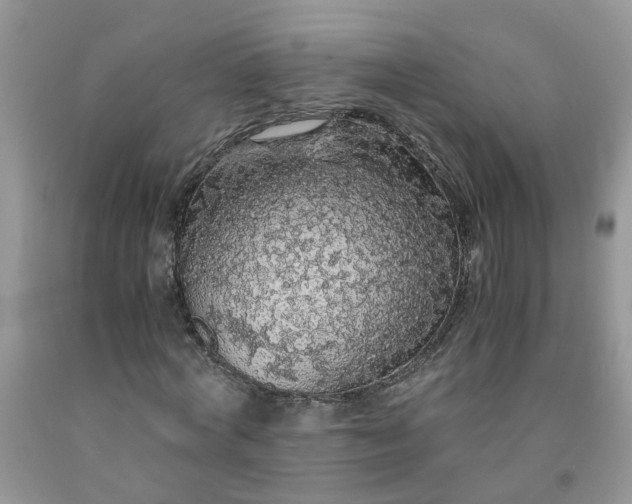 X0000091680772200709061103