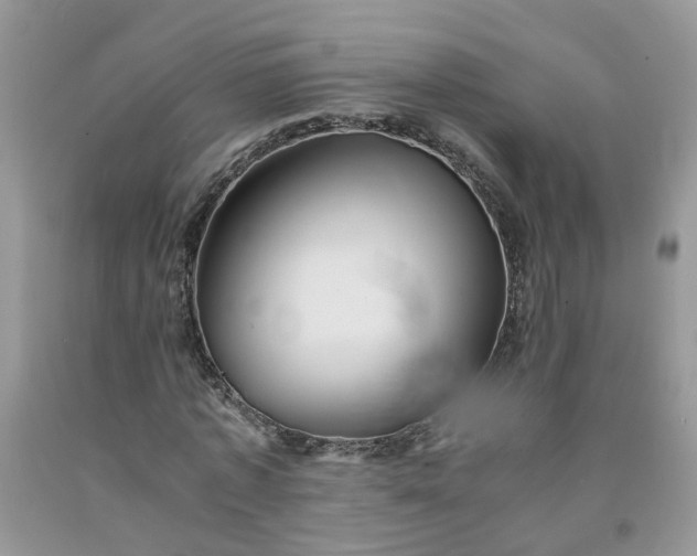 X0000091680773200709061103