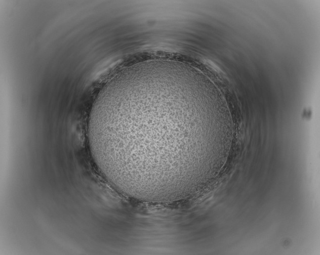 X0000091680774200709061103