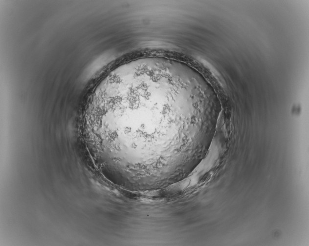 X0000091680775200709061103