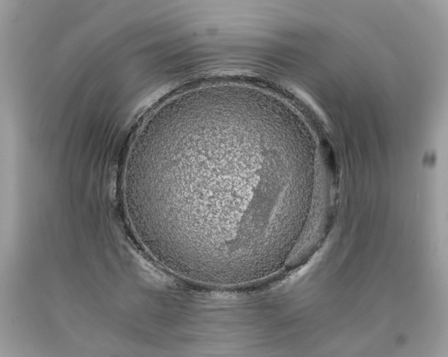 X0000091680777200709061103