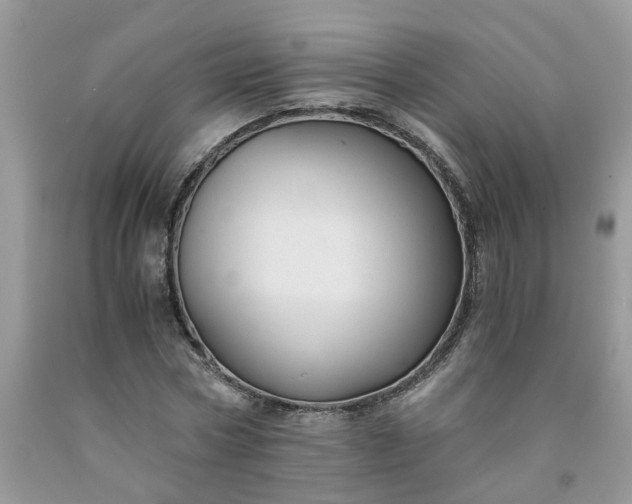 X0000091680778200709061103