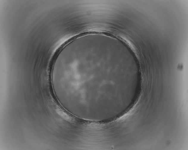 X0000091680779200709061103