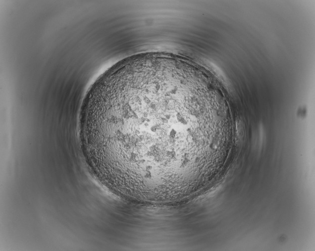 X0000091680780200709061103