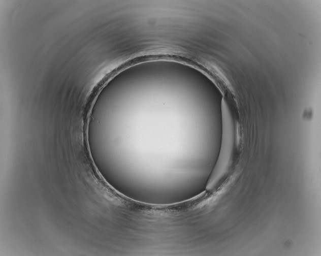 X0000091680781200709061103