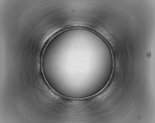 X0000091680782200709061103