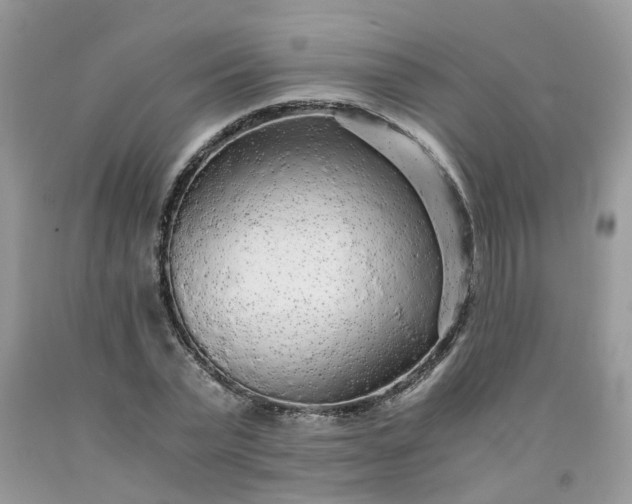 X0000091680783200709061103
