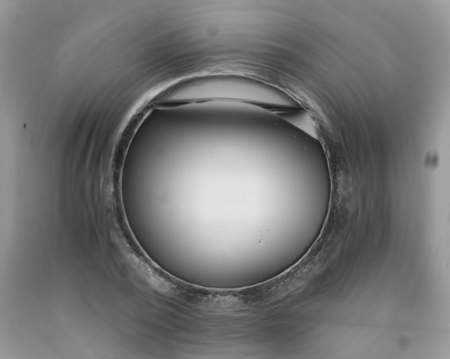 X0000091680784200709061103
