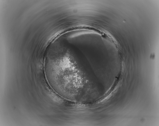 X0000091680785200709061103