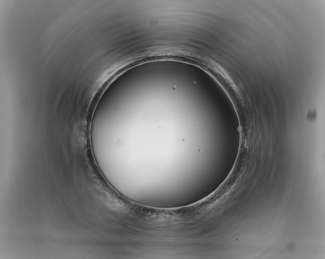 X0000091680786200709061103