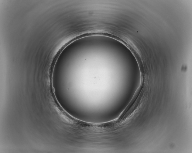 X0000091680789200709061103
