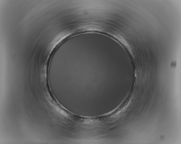 X0000091680790200709061103