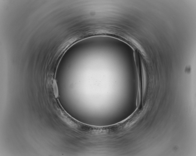X0000091680793200709061103