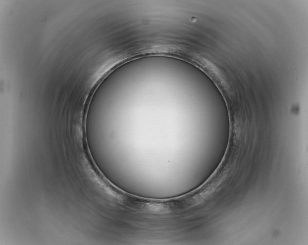 X0000091680794200709061103