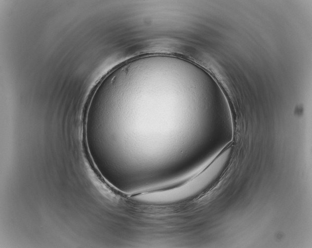 X0000091680795200709061103