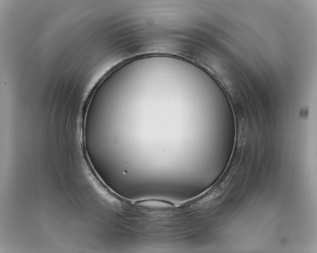 X0000091680796200709061103