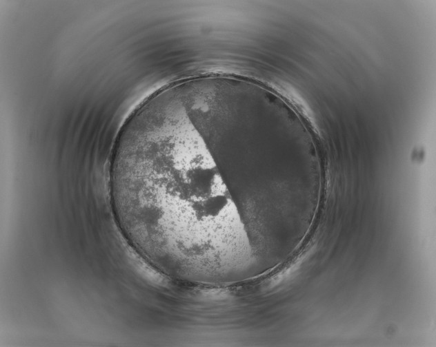 X0000091680798200709061103