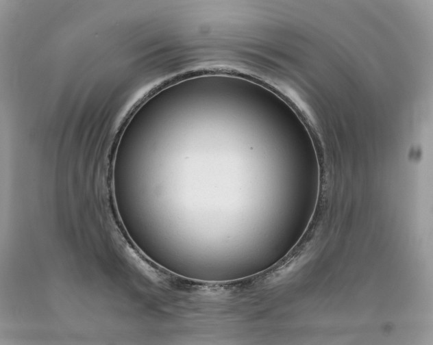 X0000091680799200709061103