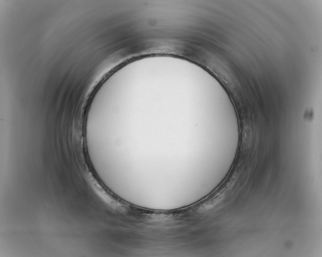 X0000091680800200709061103
