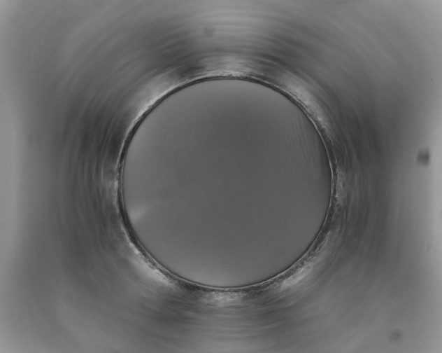 X0000091680802200709061103