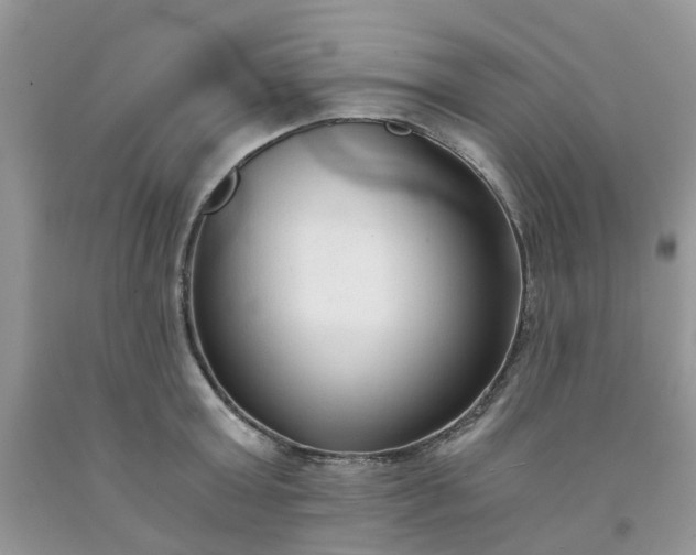 X0000091680803200709061103