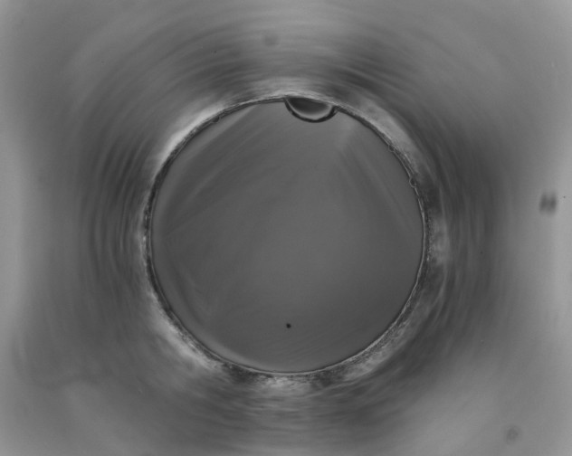 X0000091680806200709061103