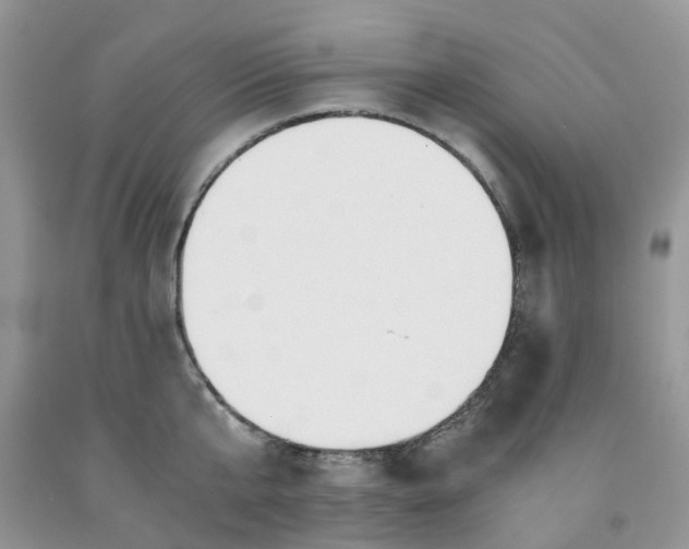 X0000091680807200709061103