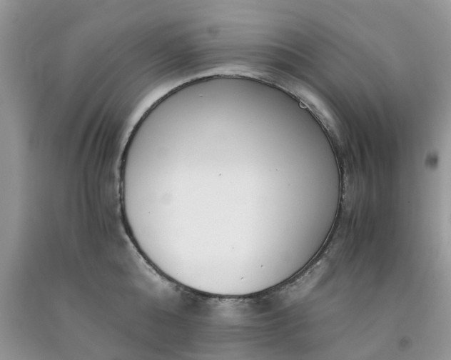 X0000091680808200709061103