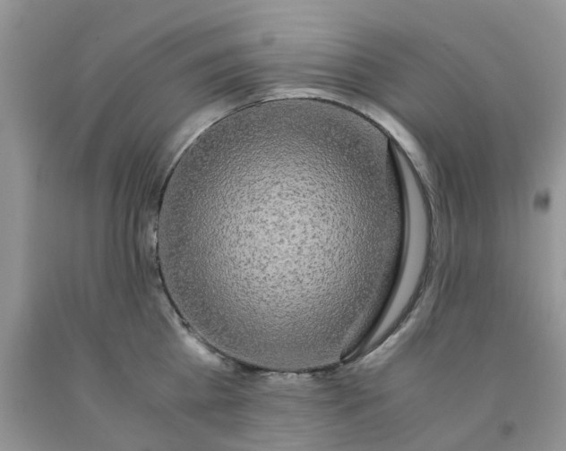X0000091680809200709061103